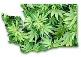 WashingtonMarijuana