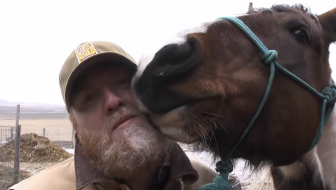 Horses_and_Dogs__Super_Bowl_beer_commercial_2015__parody__-_YouTube