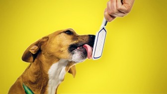 orapup