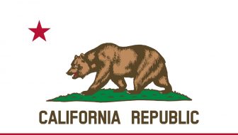 California Flag Bear